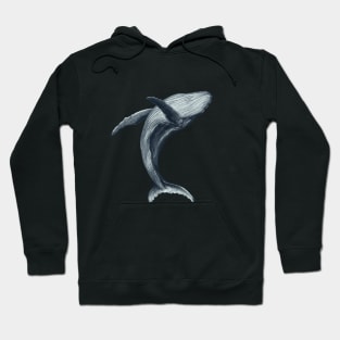 Humpback Whale Hoodie